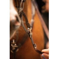 Enrênement Pénélope Howlett Havane Marron Enrênement Pénélope Howlett Havane Marron