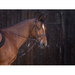 Gogue à poulies Riding World Havane Marron