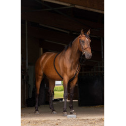 Enrênement Norton extenseur doux Noir