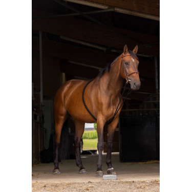 Norton zachte hulpteugel voor extensie Zwart