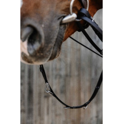 Enrênement Norton Pro Thiedeman Noir