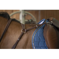 Collier de chasse Norton Pro Confort Havane Marron