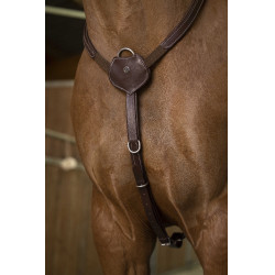 Collier de chasse Norton Pro Confort Havane Marron Collier de chasse Norton Pro Confort Havane Marron