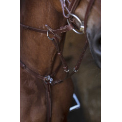 Collier de chasse Norton Pro Havane Marron