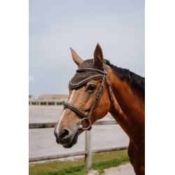 Vliegennetje Equithème Hexalight Bruin