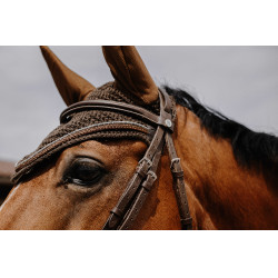 Vliegennetje Equithème Hexalight Bruin