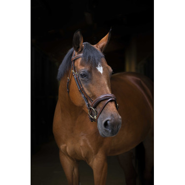 Bridon Eric Thomas Pro Wave Havana Bruin Bridon Eric Thomas Pro Wave Havana Bruin