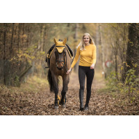 Vliegennetje Lami-Cell LC Honing / goudkleurig Geel Vliegennetje Lami-Cell LC Honing / goudkleurig Geel