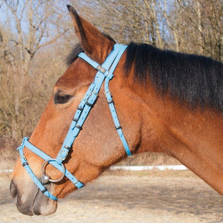 Trensenzaum Biotack® T de T Lichtblauw Trensenzaum Biotack® T de T Lichtblauw