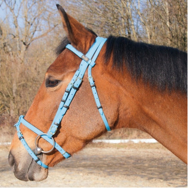 Bridon Biotack® T de T Bleu clair