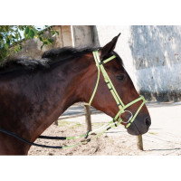 Bridon Biotack® T de T Bleu clair