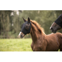 Vliegenmasker Lami-Cell Lycra Zwart Vliegenmasker Lami-Cell Lycra Zwart