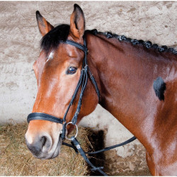 Bridon Michel Robert Tde T muserolle allemande T de T Noir