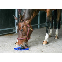 Likit Graze Maze likmat Blauw