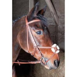 Bridon Sisley Tde T met kruisneusriem T de T Bridon Sisley Tde T met kruisneusriem T de T