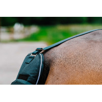 Staartbeschermer Equithème Tyrex 600D Pruim Staartbeschermer Equithème Tyrex 600D Pruim