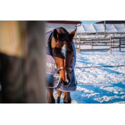 Equithème Tyrex 1200D gerecycleerde deken Taupe Bruin