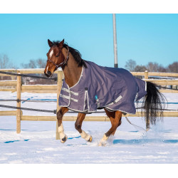 Equithème Tyrex 1200D gerecycleerde deken Taupe Bruin