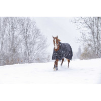 Waterdichte Oxford-deken Riding World met fleecevoering Zwart Waterdichte Oxford-deken Riding World met fleecevoering Zwart