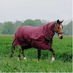 Couverture Equithème TYREX 1200D Combo Bordeaux Couverture Equithème TYREX 1200D Combo Bordeaux