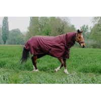 Equithème TYREX 1200D Combo deken Bordeaux Equithème TYREX 1200D Combo deken Bordeaux