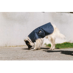 Hondenhoes Equithème TYREX 600D Hondenhoes Equithème TYREX 600D