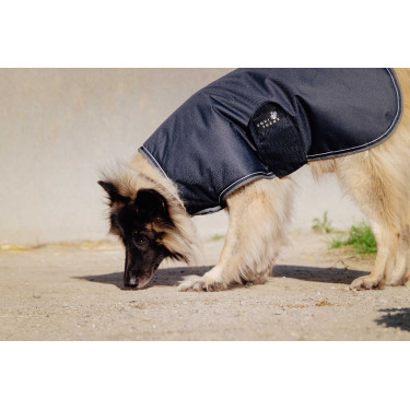 Hondenhoes Equithème TYREX 600D Hondenhoes Equithème TYREX 600D