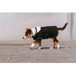 Couverture pour chien Je t'aime Equithème Noir Couverture pour chien Je t'aime Equithème Noir