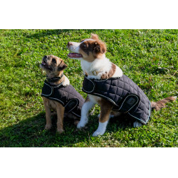 Couverture pour chien Je t'aime Equithème Noir Couverture pour chien Je t'aime Equithème Noir
