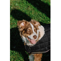 Couverture pour chien Je t'aime Equithème Noir Couverture pour chien Je t'aime Equithème Noir