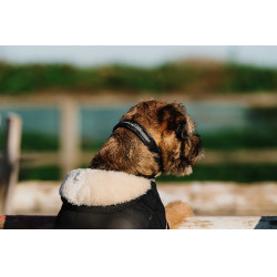 Couverture pour chien Je t'aime Equithème Noir Couverture pour chien Je t'aime Equithème Noir