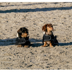 Couverture pour chien Je t'aime Equithème Noir Couverture pour chien Je t'aime Equithème Noir