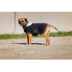 Couverture pour chien Je t'aime Equithème Noir Couverture pour chien Je t'aime Equithème Noir