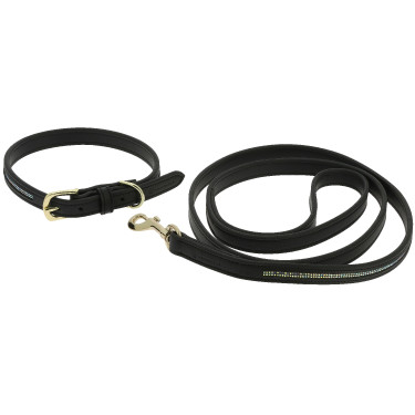 Halsband en riem voor hond Equithème Max Zwart