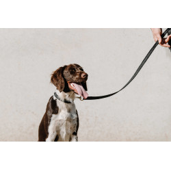 Halsband voor hond Equithème Nala Zwart