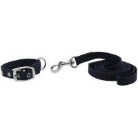 Halsband en lijn voor hond Riding World Oscar Zwart