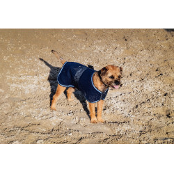 Chemise polaire pour chien Equithème Marine Bleu marine Chemise polaire pour chien Equithème Marine Bleu marine