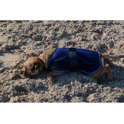 Chemise polaire pour chien Equithème Marine Bleu marine Chemise polaire pour chien Equithème Marine Bleu marine