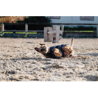 Chemise polaire pour chien Equithème Marine Bleu marine