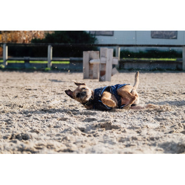 Fleecehemd voor hond Equithème Fleecehemd voor hond Equithème