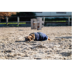 Fleecehemd voor hond Equithème Fleecehemd voor hond Equithème