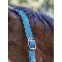 Licol Norton Fluo doublé Bleu Licol Norton Fluo doublé Bleu