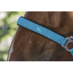 Licol Norton Fluo doublé Bleu Licol Norton Fluo doublé Bleu