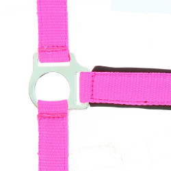 Licol Norton Fluo doublé Rose Licol Norton Fluo doublé Rose
