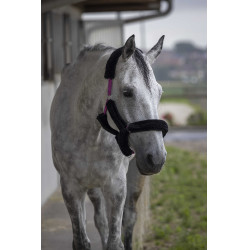 Norton halster Full synthetische schapenvacht Fuchsia / zwart Roze