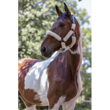 Norton halster Full synthetische schapenvacht Elektrisch blauw / écru