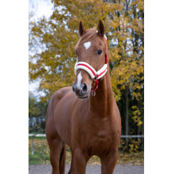 Licol Norton Confort Rouge