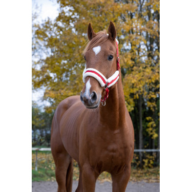 Licol Norton Confort Rouge