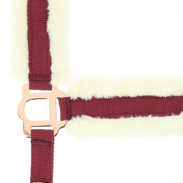 Norton Comfort halster Bordeaux