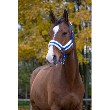 Licol Norton Confort Bleu vif